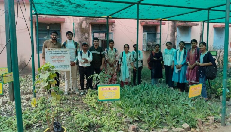 Awareness of Medicinal Plants and Their Uses (3)