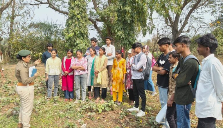 Awareness of Medicinal Plants and Their Uses (5)