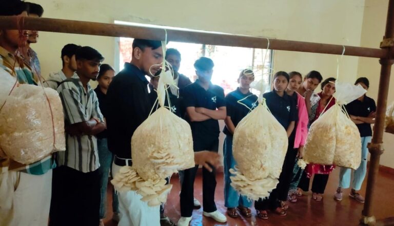 Mushroom Cultivation (4)