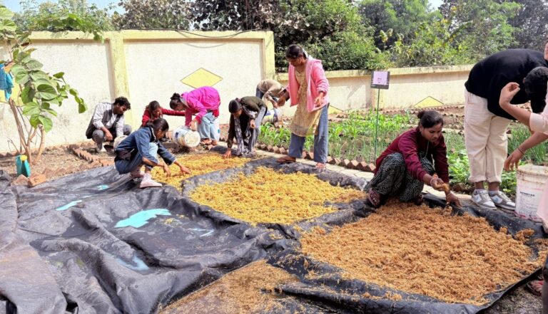 Mushroom Cultivation (6)