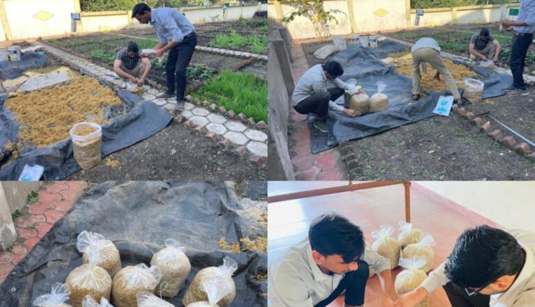 Mushroom Cultivation (7)